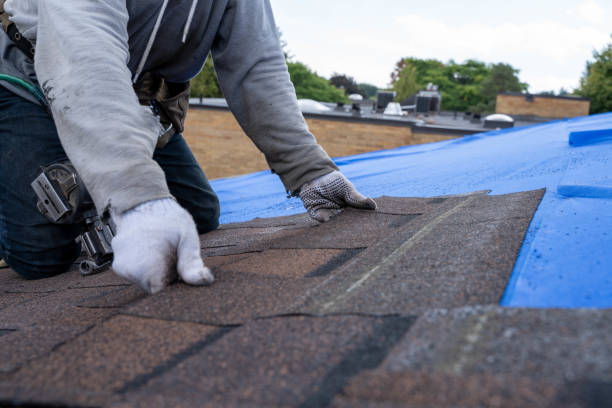 Best Shingle Roofing Installation  in Nora Springs, IA